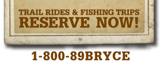 Book Online Now!
